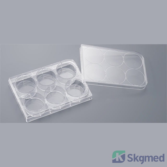 ယဉ်ကျေးမှုပန်းကန် 6 တွင်း