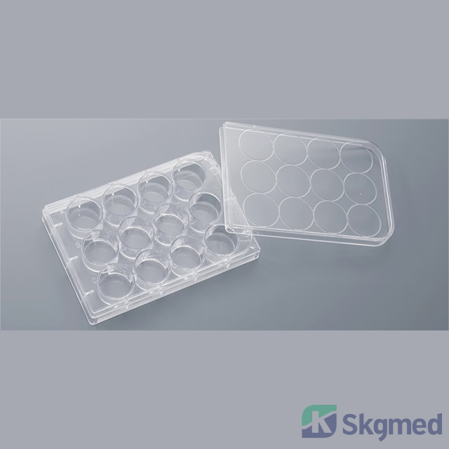 ယဉ်ကျေးမှုပန်းကန် 12 ဝဲ