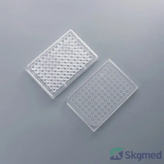 Соёлын хавтан 96 Wells.png