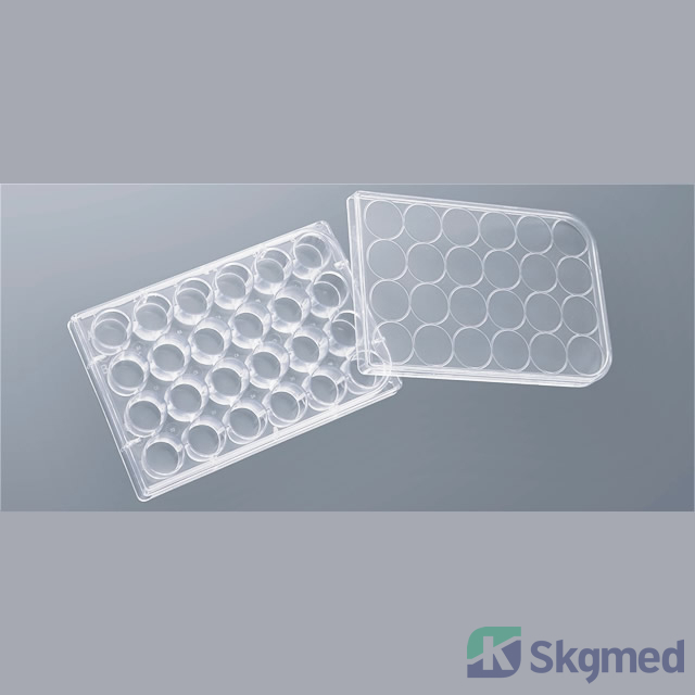 Placă de Cultură 24 F&acirc;nt&acirc;ni