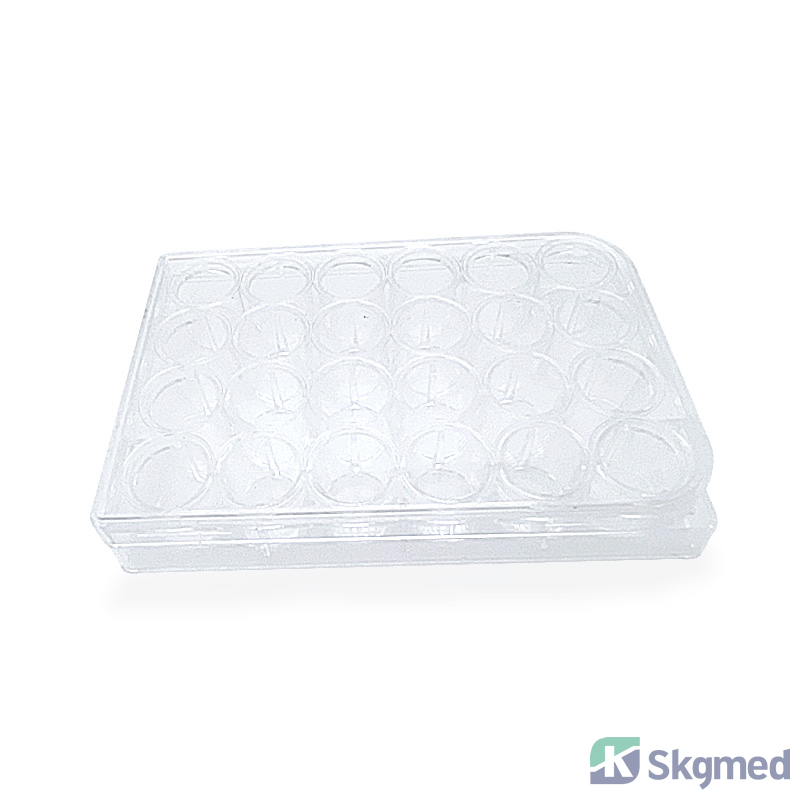 Placă de Cultură 24 F&acirc;nt&acirc;ni