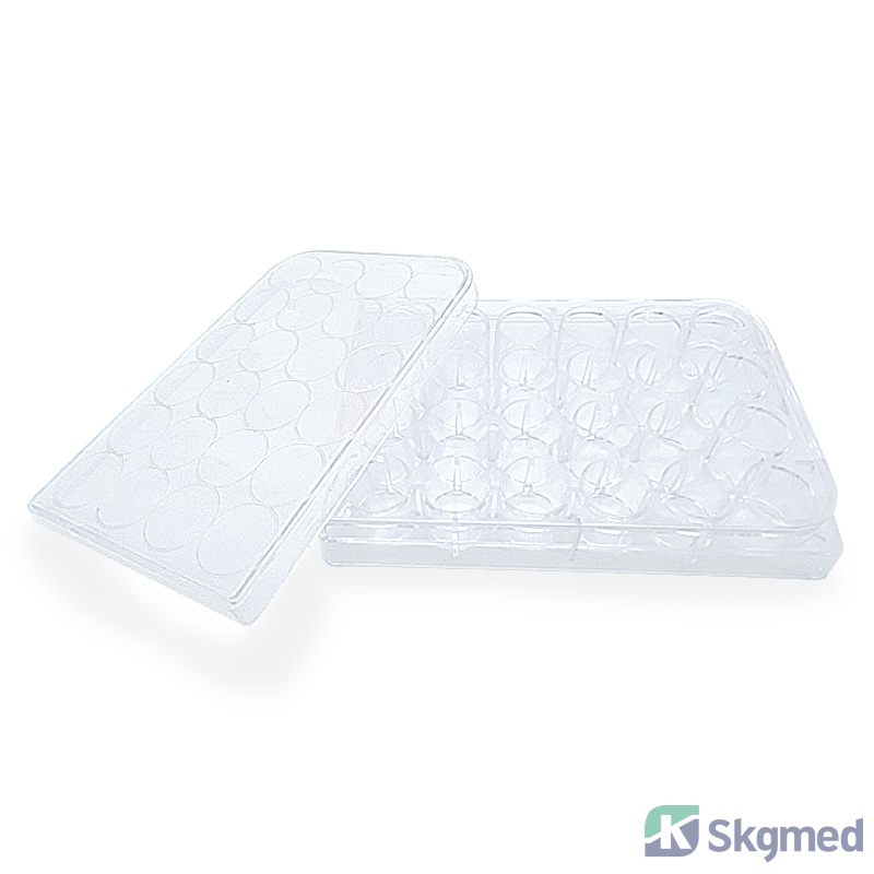 Placă de Cultură 24 F&acirc;nt&acirc;ni